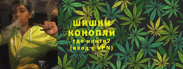 Альфа ПВП Дмитриев