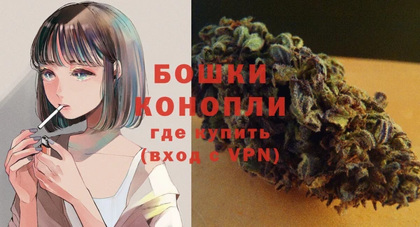Альфа ПВП Дмитриев