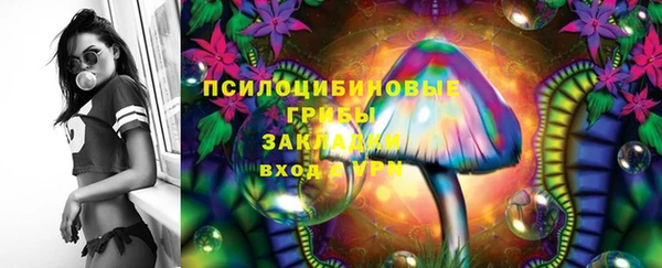 гашик Елизово
