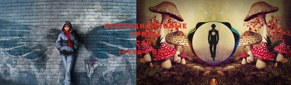 MESCALINE Елабуга