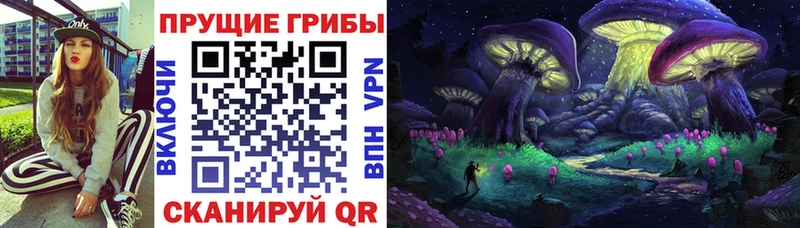 Купить закладки  Чайковский  Галлюциногенные грибы Psilocybe 